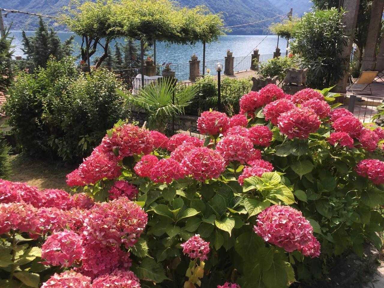 Villa Peroni Honeymoon Cottage Argegno Eksteriør billede